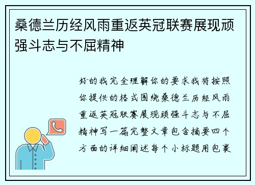 桑德兰历经风雨重返英冠联赛展现顽强斗志与不屈精神 桑德兰历经风雨重返英冠联赛展现顽强斗志与不屈精神
